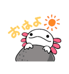 ウーパールーパーのちょん②（個別スタンプ：1）