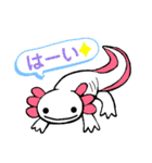 ウーパールーパーのちょん②（個別スタンプ：4）