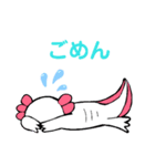 ウーパールーパーのちょん②（個別スタンプ：7）