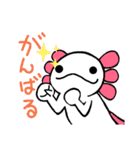 ウーパールーパーのちょん②（個別スタンプ：13）