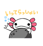ウーパールーパーのちょん②（個別スタンプ：15）