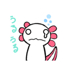 ウーパールーパーのちょん②（個別スタンプ：16）