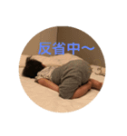 せいちゃんのキモチ9（個別スタンプ：1）