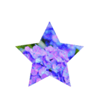 Hydrangea★（個別スタンプ：2）