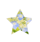 Hydrangea★（個別スタンプ：4）