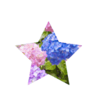 Hydrangea★（個別スタンプ：8）