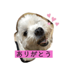 ひまりぃぬ（個別スタンプ：5）