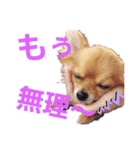 くるん3（個別スタンプ：7）
