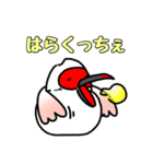 トキオコメ(新潟方言)（個別スタンプ：1）