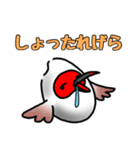 トキオコメ(新潟方言)（個別スタンプ：18）
