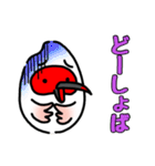 トキオコメ(新潟方言)（個別スタンプ：23）