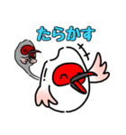 トキオコメ(新潟方言)（個別スタンプ：25）