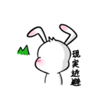 耳をピンと張る★ウサリコ（個別スタンプ：16）