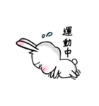 耳をピンと張る★ウサリコ（個別スタンプ：23）