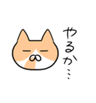 猫が5匹（個別スタンプ：16）