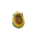 ひまわりSUMMER（個別スタンプ：1）