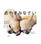 reomocostamp（個別スタンプ：6）