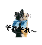 reomocostamp（個別スタンプ：7）