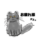 ぶさかわ猫 mary（個別スタンプ：1）