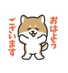 デカ文字 可愛い柴犬と猫の日常スタンプ（個別スタンプ：2）