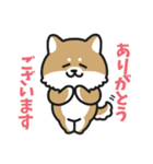 デカ文字 可愛い柴犬と猫の日常スタンプ（個別スタンプ：3）