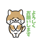 デカ文字 可愛い柴犬と猫の日常スタンプ（個別スタンプ：4）