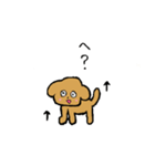 トイプードルまんじゅう（個別スタンプ：1）