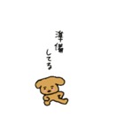 トイプードルまんじゅう（個別スタンプ：12）