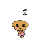 トイプードルまんじゅう（個別スタンプ：18）