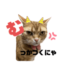 カリラたん（個別スタンプ：4）