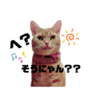 カリラたん（個別スタンプ：6）