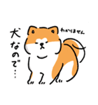 もちり犬（個別スタンプ：33）