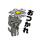 黒猫ハンサム君（個別スタンプ：1）