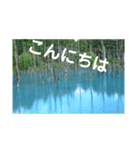こころ休まる花と風景(13)（個別スタンプ：1）