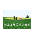 こころ休まる花と風景(13)（個別スタンプ：3）
