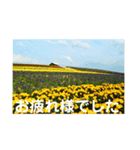 こころ休まる花と風景(13)（個別スタンプ：4）