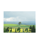 こころ休まる花と風景(13)（個別スタンプ：5）