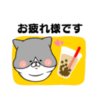 【敬語】ましゅ猫めめちゃん（個別スタンプ：5）