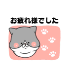 【敬語】ましゅ猫めめちゃん（個別スタンプ：6）