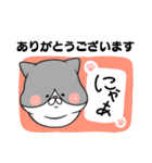 【敬語】ましゅ猫めめちゃん（個別スタンプ：11）