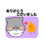 【敬語】ましゅ猫めめちゃん（個別スタンプ：12）
