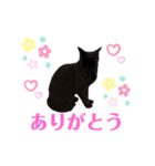 かなえギャラリー 癒しのスタンプ（個別スタンプ：3）