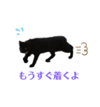 かなえギャラリー 癒しのスタンプ（個別スタンプ：5）