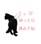 かなえギャラリー 癒しのスタンプ（個別スタンプ：7）