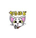 にゃんこのあっちゃん（個別スタンプ：5）