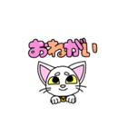にゃんこのあっちゃん（個別スタンプ：11）