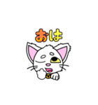 にゃんこのあっちゃん（個別スタンプ：18）