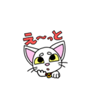 にゃんこのあっちゃん（個別スタンプ：19）