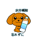 夏のトイプードル・ココア（個別スタンプ：7）
