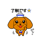 夏のトイプードル・ココア（個別スタンプ：8）
